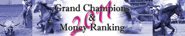 Interim Money Ranking 2011